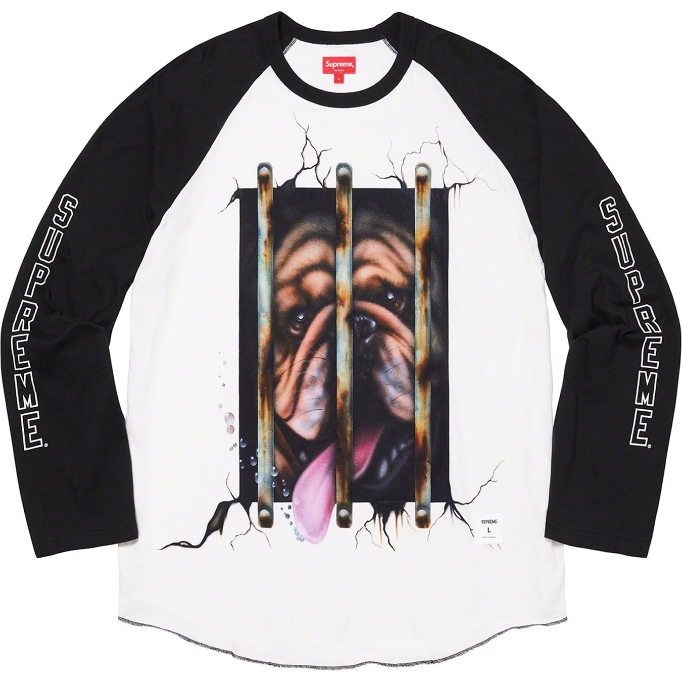 Dog Raglan L/S Top view 5